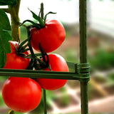 25 Pack Garden Stakes Metal Plastic Coated Plant Cage Supports Climbing for V1192-AZ-W-22833