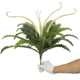 Artificial Dark Green Boston Fern 60cm V77-1890013