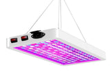 Plant Grow Light LED Succulent Fill Light Full Spectrum Vegetable Flower Indoor Plant Light High V1294-YM0901-L6810UK