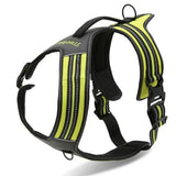 True Love Heavy Duty Sports Dog Harness - Neon Yellow, XL ZAP-TLH5551-15