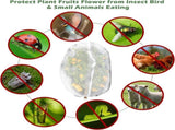 3Pcs Plant Covers from Insects, Bird Netting Barrier for Blueberry Bushes with Drawstring Zipper V1259-DP01-A-5360