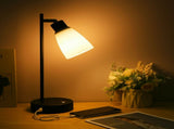 Industrial Table Light Beside Lamp 1 Type C & 1 USB Charging Port Stepless Dimmable Brightness V1294-YM0901-L5528US-1