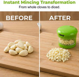 Mini Garlic Chopper and Press with Storage Container, Manual Garlic Mincer Crher Cutter, Premium V1258-DP02-F-425