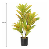 Artificial Potted Flaming Zebra 55cm V637-DP1158149