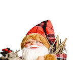 Santa Decoration Cute Image Santa Figurines Doll Toy Holiday Style Tabletop Santa Ornament for Party V1294-YM0901-3115240088512