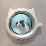 Cat Door Flap, 4 Way Locking Cat Flap for Interior Exterior Doors, Weatherproof Pet Door for Cats V1366-AZ2-W-04508