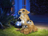 Solar Dog Garden Statue with Lantern Waterproof Resin Puppy Ornament for Outdoor Patio Pathway V888-ELOSUNG43357