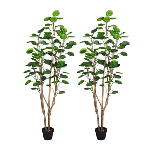 SOGA 2X 150cm Plastic Potted Polyscias Scutellaria Plant Home Garden Artificial Tree, Home Decor APLANTFHJQD150102X2