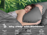4 Piece Ultra Soft Bamboo Breathable Sheet Set -Hotel 2000TC Breathable Bed Sheets Set with 40 V1317-BAMBOO-AUSK-4JT-GREY