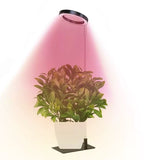 Full Spectrum LED Plant Grow Light with Telescopic Stand, Angel Ring Design, Dimmable Timer & V1341-ZY-76TZSDPE-3PCS-L
