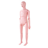 Nursing Training Manikin, Male Life Size Demonstration Human Manikin for Nursing Training, V952-HLRTMXDBLNXH3GWPCV0