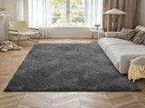Indoor Plush Area Rugs, 1.52 x 2.44 m Soft Plush Carpet, Furry Shag Area Rugs for Living Room, V952-JXZXDTSM5X8FIY14O001V0