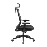 Carlie High Back Molded Foam Seat Ergonomic Office Chair In Black V369-311HB