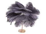 Ostrich Feather Table Lamp Rechargeable Modern Romantic Decoration Lamp Bedroom Bedside Lamp for V1294-YM0703-3119230059315