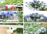 Assembled Umbrella Flower Stand Climbing Vine Plant Easy to Install Garden Plant Support V1294-YM0716-230111QY05-2