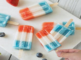 DIY Ice Cream Mold Stainless Steel Simple Maker for Home 1Set V1370-AZ4-09582