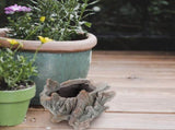 Dark Brown Resin Indoor Flower Pot, Decorative Planter for Houseplants, Stylish and , 1 Set V1192-AZ-W-22428