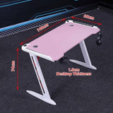 120cm RGB Gaming Desk Desktop PC Computer Desks Desktop Racing Table Office Laptop Home AU V255-D2105-120-RGB