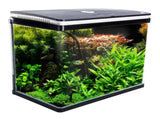 Aquarium Curved Glass RGB LED Fish Tank Set Filter Pump 52L V274-AQ-FT52L-BK
