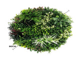 Slimline Artificial Green Wall Disc Art 80cm Colour Fresh UV Resistant V637-DP9864