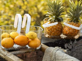 Clear Hand Basket Comfortable Handle Ventilation Holes Easy Access Versatile Fruit Storage Basket V1294-YM0521-3117230074511