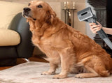 Pet Grooming Brush Kit Dog Hair Brush Vacuum Attachment for Dyson V7 V8 V10 V11 Vacuum V1263-JX-6923