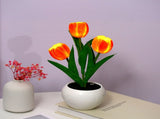 Tulip Lamp Indoor Decorative Table Lamp Flower Pot Lamp Ambient Night Light Gift Potted Plant V1294-YM0901-LNEO334C-3