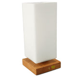 LED Bedside Ambient Light Adjustable Brightness Warm Light Decorative 1600mAh Flower Vase Table Lamp V1294-YM0901-3119230147511