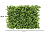 Green Moss Panel UV Resistant 100cm x 100cm V637-DP1225257