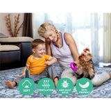 Artiss Rug 200x290cm Area Rug Large Carpet Soft Short Pile Modern Fafi FLR-2133-200X290-GR