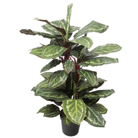 Artificial Wide Leaf Cordyline Plant 90cm V77-1151507