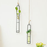 Set of 2 Glass Hanging with Iron Frame, Clear Indoor Plant , Decorative Wall-Mounted Pots for Home V1370-AZ4-11631