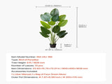 Artificial Bird of Paradise 1829 mm Tall, Fake Tropical Plants with with 13 Trunks & White Pot, Faux V952-RZRDZWTTNZL6CG3Q9001V0