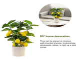 Small Fake Fruit Tree Decor Artificial Potted Tree with White Pot Potted Plant Perfect for Kitchen V1294-YM0523-220324CY13-1