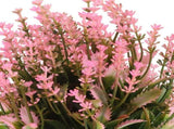Realistic Artificial Potted Flower Plant for Home, Garden, Patio, Office Decor, Indoor Outdoor Use, V1369-AZ3-W-12852