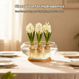 4PCS Lotus Bowl Planters with Wood Trays, 6" Round Glass Vase for Hydroponics, Fish Bowl Design, V1369-AZ3-W-08770