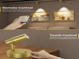 Spot Lights Indoor, Rechargeable Picture Light with Remote, Dimmable CCT Spotlight for Wall Art, V1171-CB-BOM001479-2