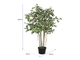Potted Artificial Variegated Ficus Tree 168cm V637-84506FIC