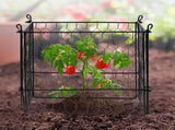 4 Pack Plant Protector from Animals, 13.4'' x 13.4'' Chicken Wire Plant Protector, Plant Cages for V952-QBWZCL12YCHSE5ZGTV0
