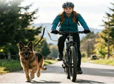 Bike Dog Leash with Shock-Absorbing Spring Bracket Hands-Free Cycling Dog Walker for Outdoor V1341-ZY-FE96E793-SILVER