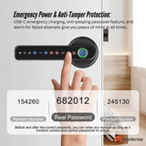 Tooleroo Digital Smart Door Lock Handle - 5in1 Keypad Home Entry Security System V238-SUPDZ-41175156031568