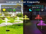 Solar Garden Lights 4 Packs Solar Lights for Outside,Waterproof Solar Outdoor Lights Decorative 7 V1192-AZ-W-11735