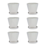 6Pcs Small Plant Pot Lightweight Versatile Simple Style Plastic Flower Pot with Trays for Indoor V1294-YM0901-3111240201812