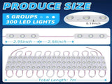 12V 300 LEDs Interior Van Light, White LED Ceiling Lighting Kits for RV Truck Boats Bus Cargo V1259-DP01-A-5539