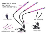 60 LED Full Spectrum Grow Light with 3 Timers, MultiColor V1237-ZY-506-0059