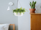 unbranded Hanging Plant Pots Hydroponic Planter Modern Design V1369-AZ3-W-15627