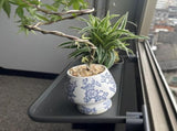 Foldable Window-Mounted Drying Rack with Clamp-on Design for Shoes, Plants & Small Items V1107-CS-CKZWJ