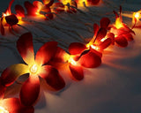 1 Set of 20 LED Deep Red Frangipani Flower Battery String Lights Christmas Gift Home Wedding Party V382-REDFRANGIBATT20