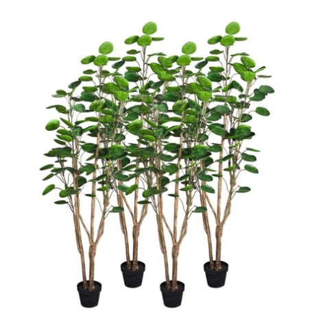 SOGA 4X 180cm Plastic Potted Polyscias Scutellaria Plant Home Garden Artificial Tree, Home Decor APLANTFHJQD18080X4