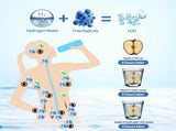 Hydrogen Water Bottle,Portable Rechargeable 3 Min Quick Electrolysis - Suitable for Home, Office, V1370-AZ4-06452